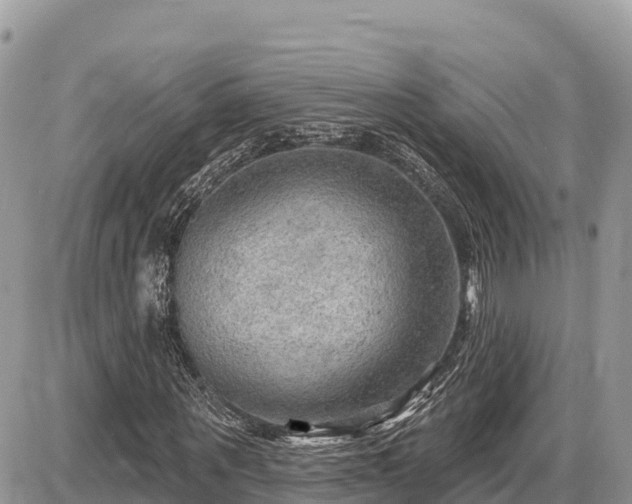 X0000087550867200705041325