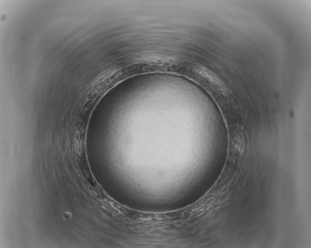 X0000087550869200705041325