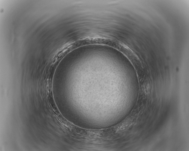 X0000087550870200705041325