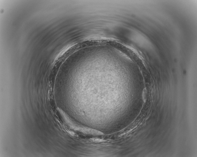 X0000087550871200705041325