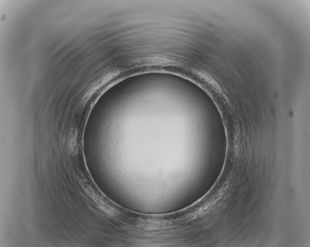 X0000087550873200705041325