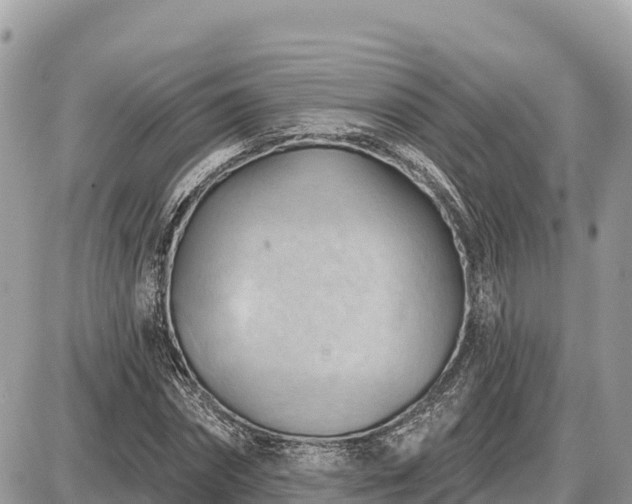 X0000087550874200705041325