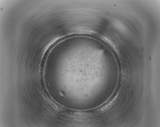 X0000087550875200705041325