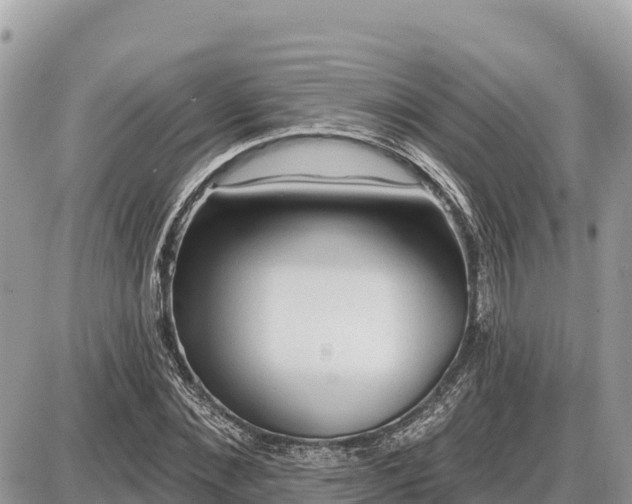 X0000087550876200705041325