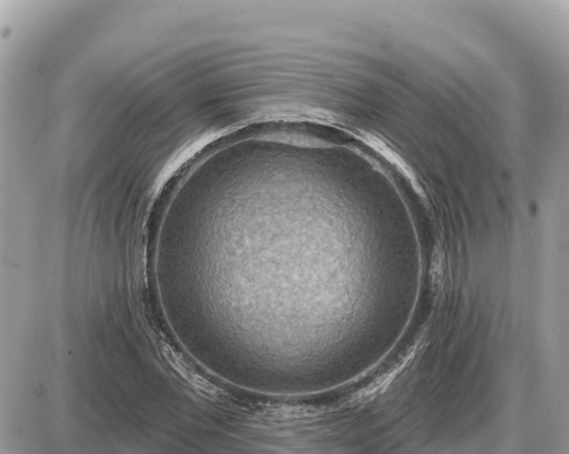 X0000087550877200705041325