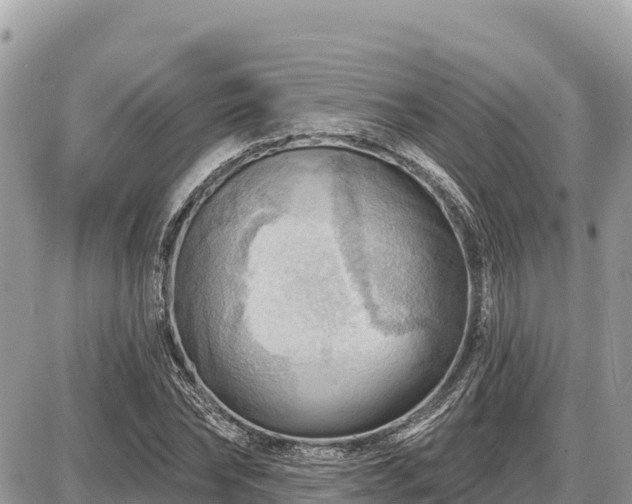 X0000087550878200705041325