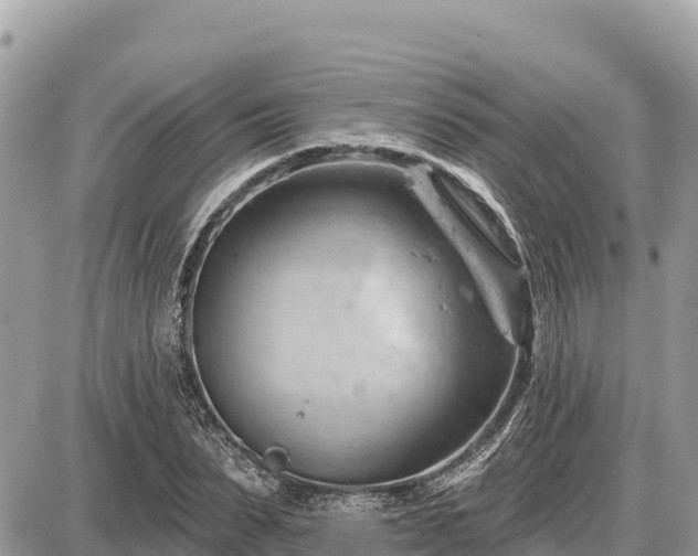 X0000087550879200705041325