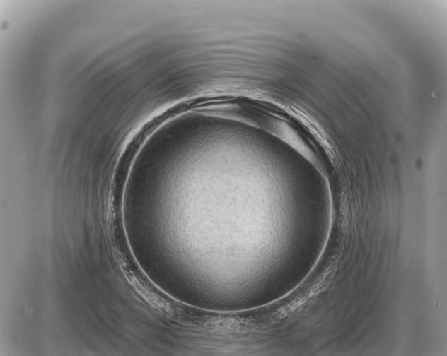 X0000087550880200705041325