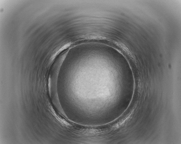 X0000087550881200705041325