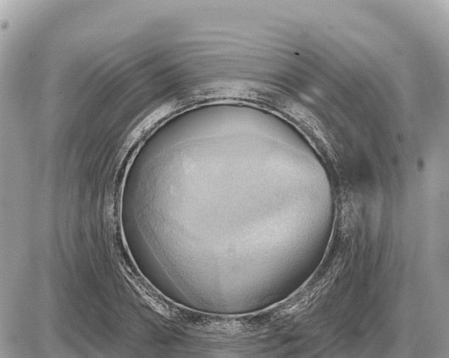 X0000087550882200705041325