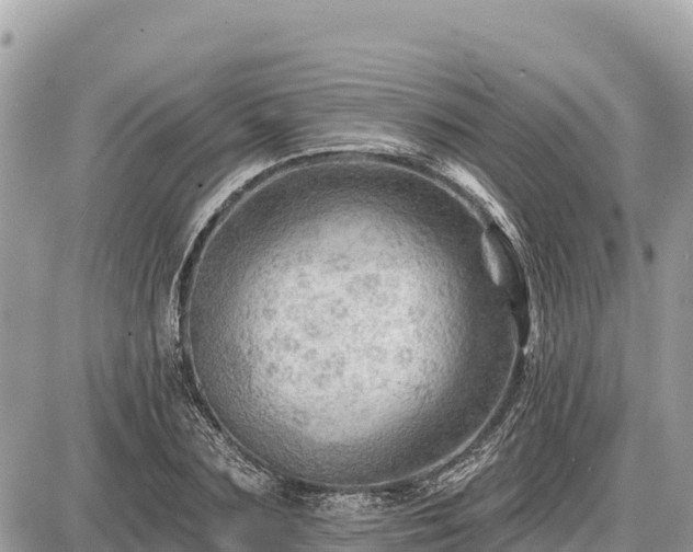 X0000087550883200705041325