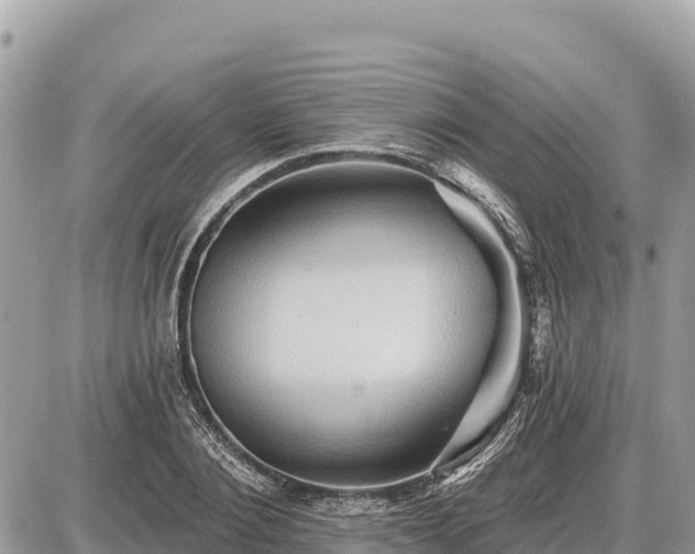 X0000087550884200705041325