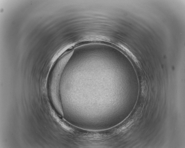 X0000087550885200705041325