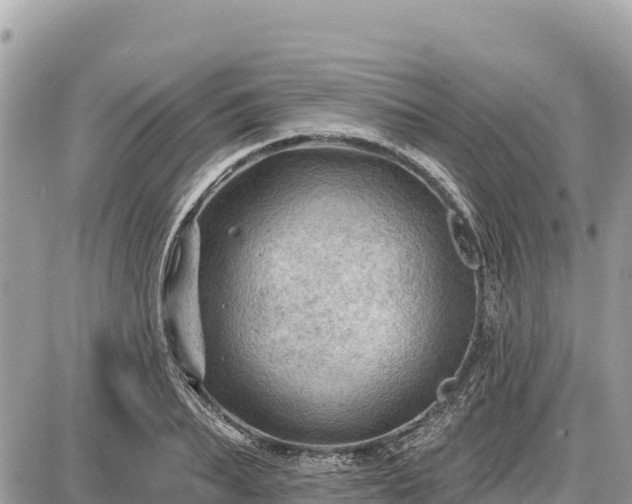 X0000087550887200705041325