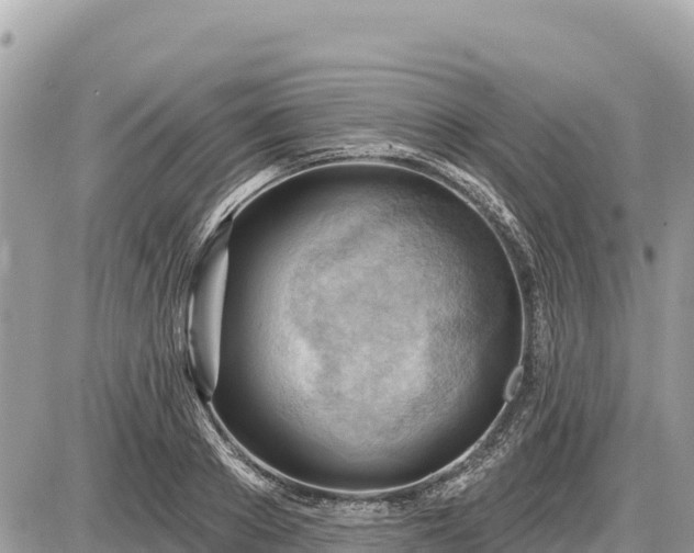 X0000087550889200705041325