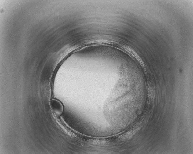 X0000087550890200705041325