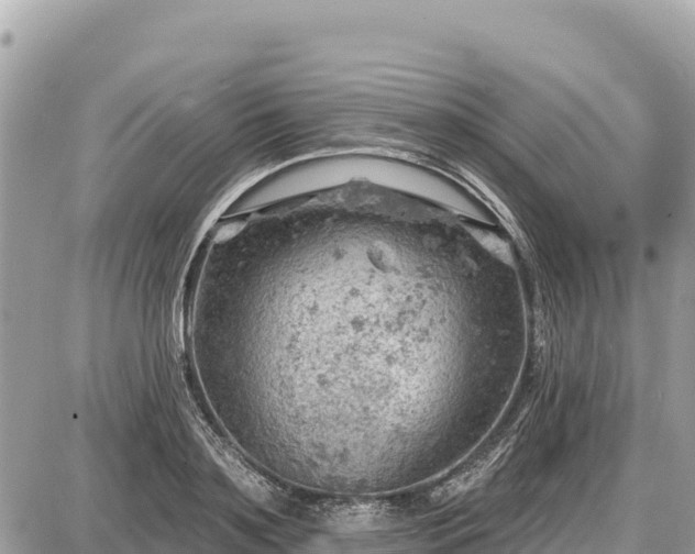 X0000087550891200705041325