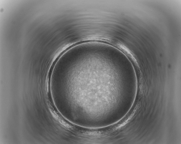 X0000087550892200705041325