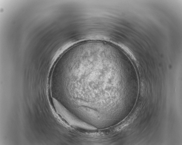 X0000087550895200705041325