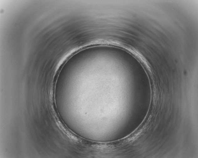 X0000087550896200705041325