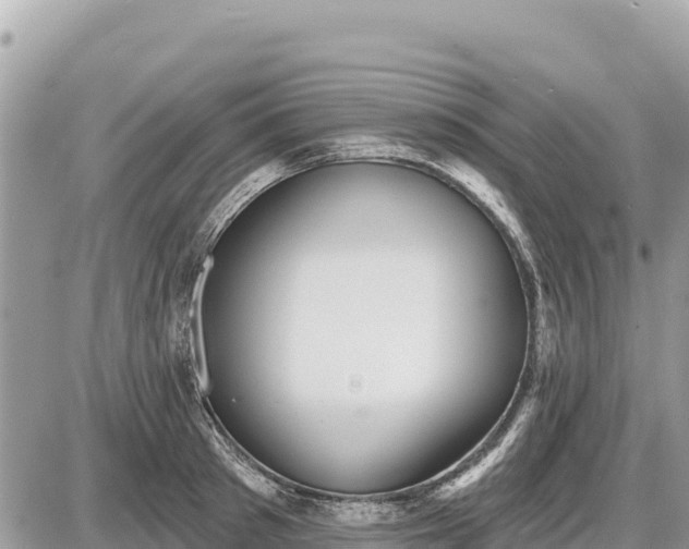 X0000087550897200705041325