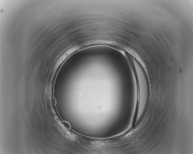 X0000087550898200705041325