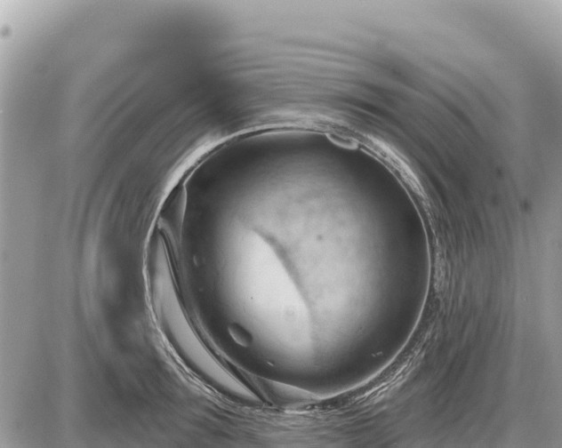 X0000087550899200705041325