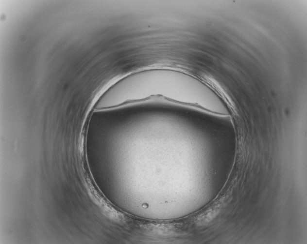 X0000087550900200705041325