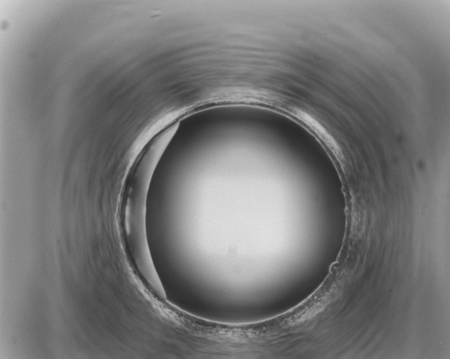 X0000087550901200705041325