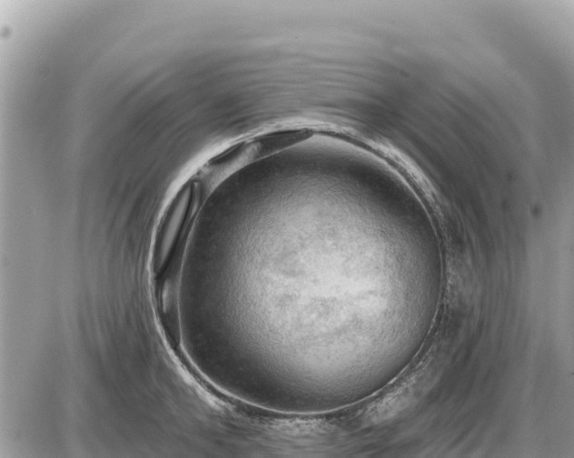 X0000087550902200705041325