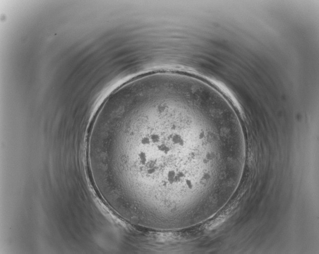 X0000087550903200705041325