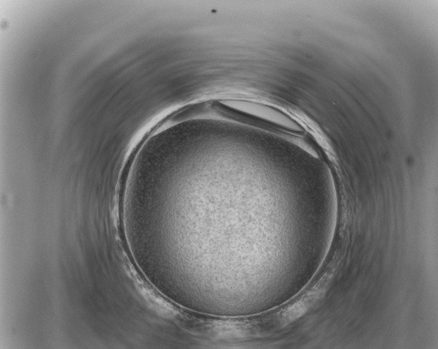 X0000087550904200705041325