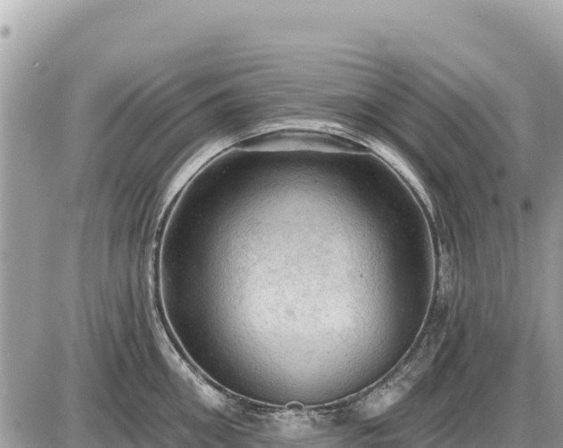 X0000087550906200705041325