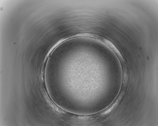 X0000087550908200705041325