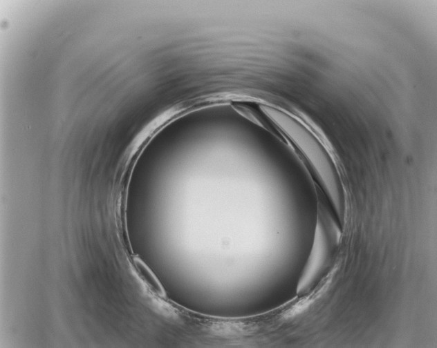 X0000087550909200705041325