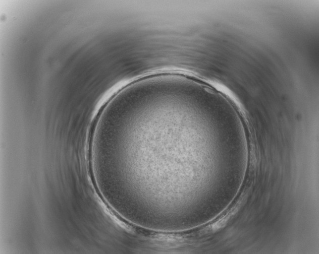 X0000087550910200705041325