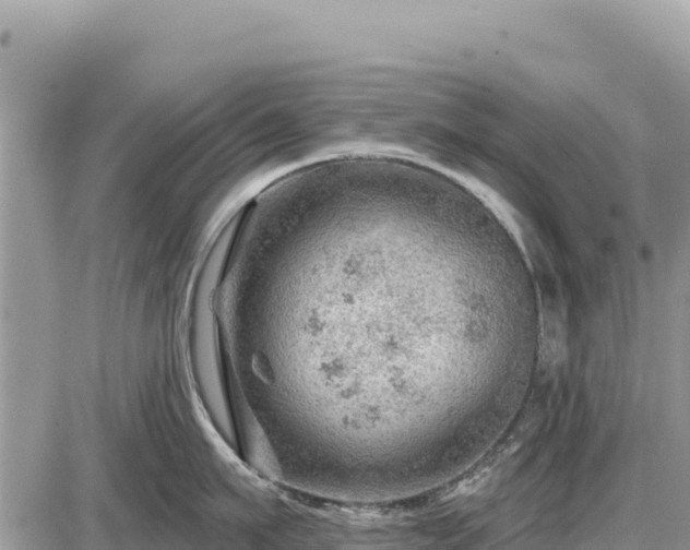 X0000087550911200705041325