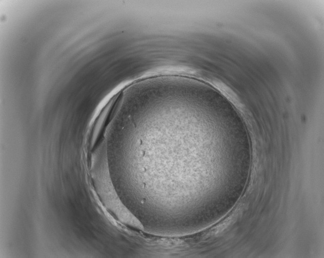 X0000087550912200705041325