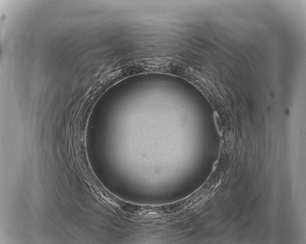 X0000087550913200705041324