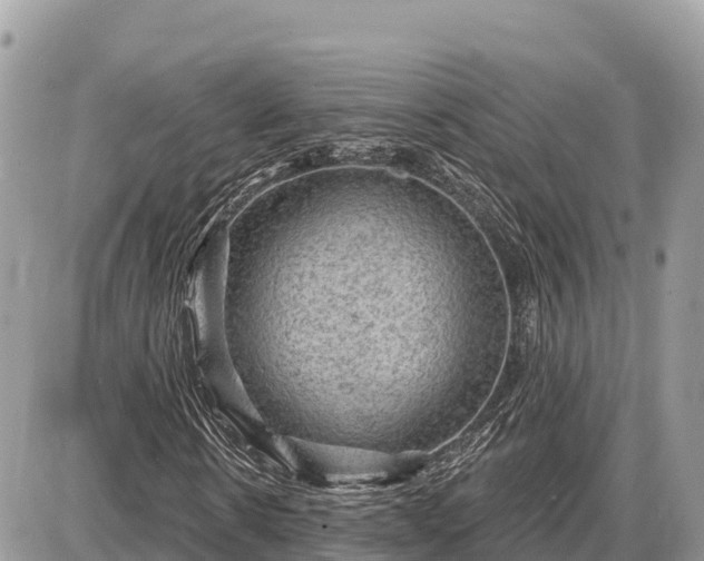 X0000087550914200705041324