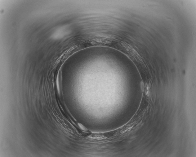 X0000087550915200705041324