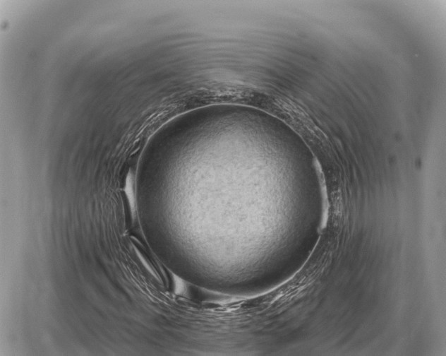 X0000087550916200705041324