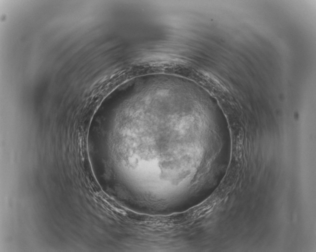 X0000087550917200705041324