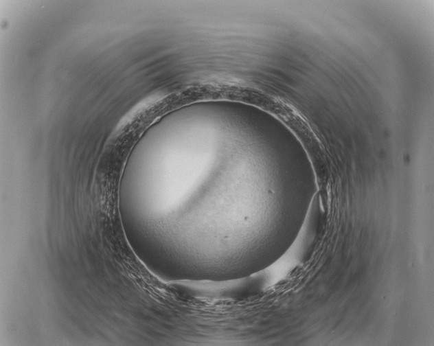 X0000087550919200705041324