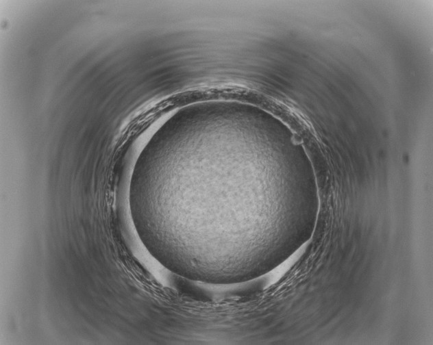 X0000087550920200705041324