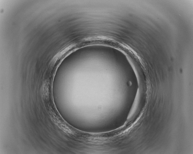 X0000087550921200705041324