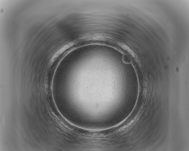 X0000087550922200705041324