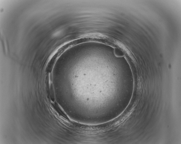 X0000087550923200705041324