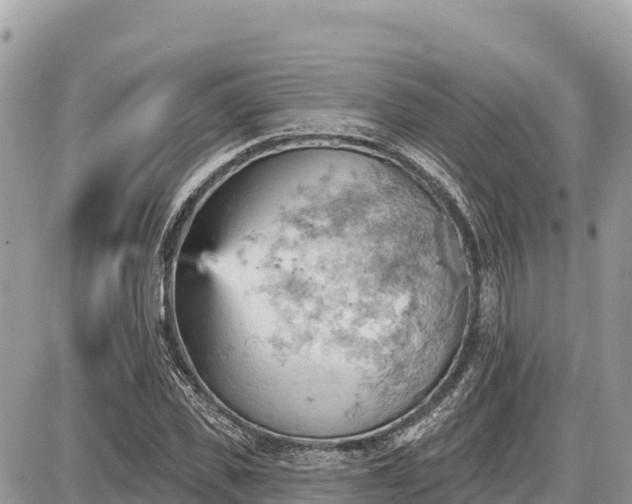 X0000087550925200705041324