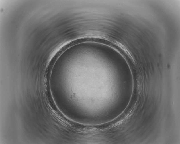 X0000087550926200705041324